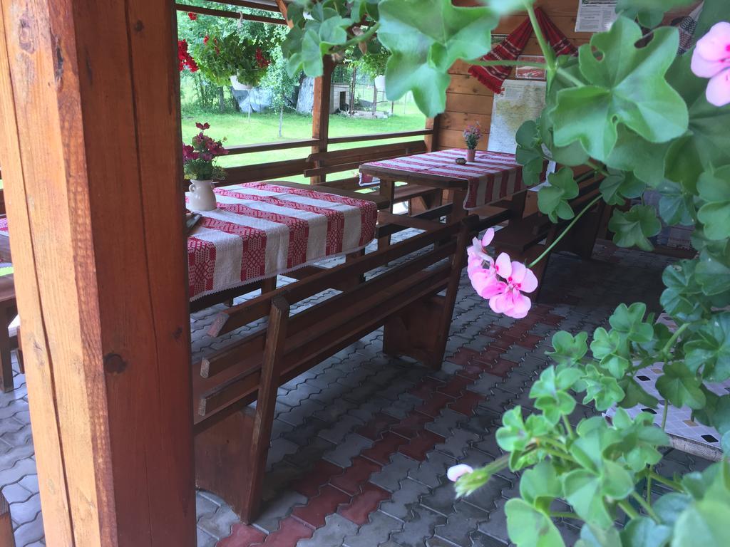 Pensiunea Felyviss Albac Dış mekan fotoğraf